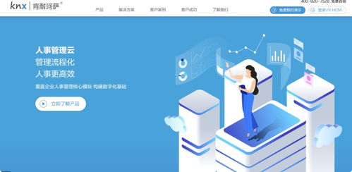 選對人事管理軟件，讓企業(yè)運營更高效 14款主流員工管理系統(tǒng)與薪酬服務深度解析